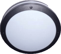 LED oyster light