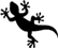 lizard gif