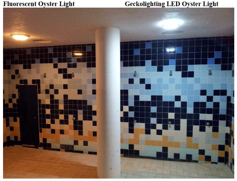 geckolighting led oyster light